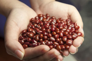 팥을 양손에 들고있는 모습