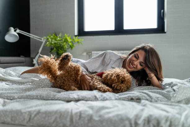 반려동물과 호텔 이용 시 주의할 점