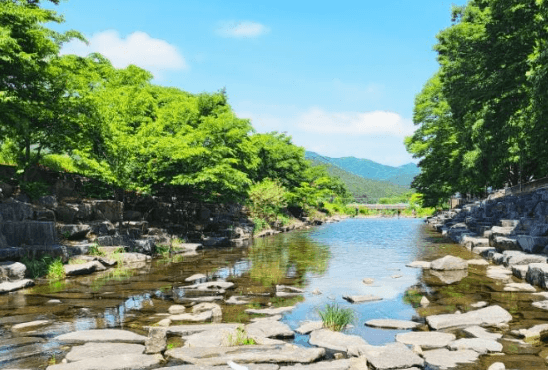 화순-동가리계곡