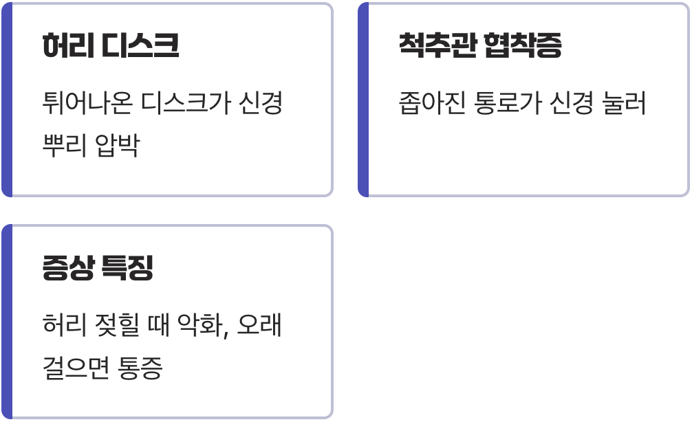 신경의 출발점, 허리를 확인하세요