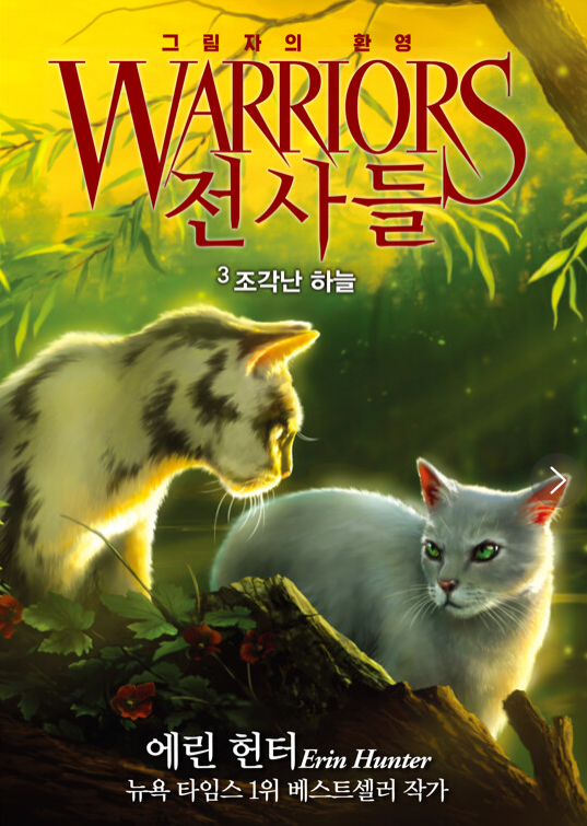 전사들_그림자의 환영_조각난 하늘( 6부 3권)