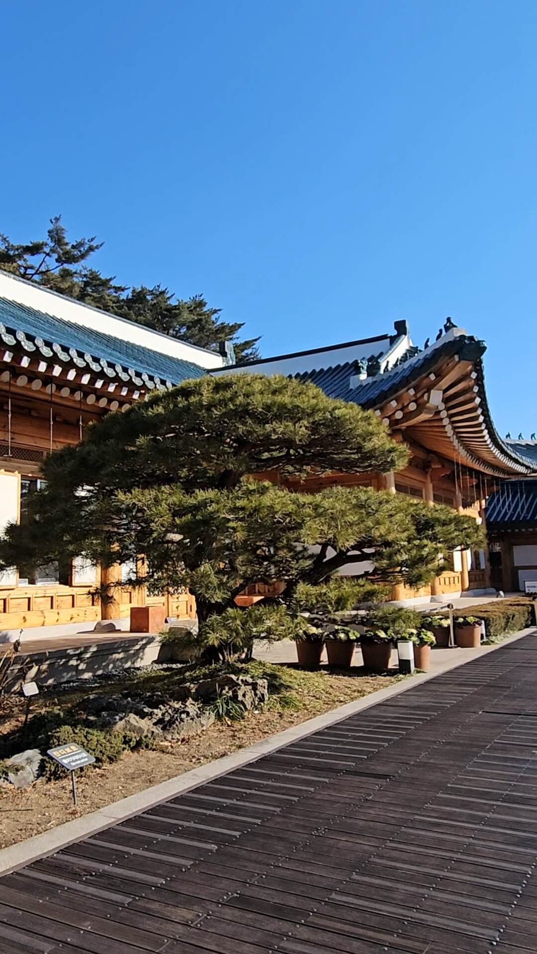 청와대 내부 모습