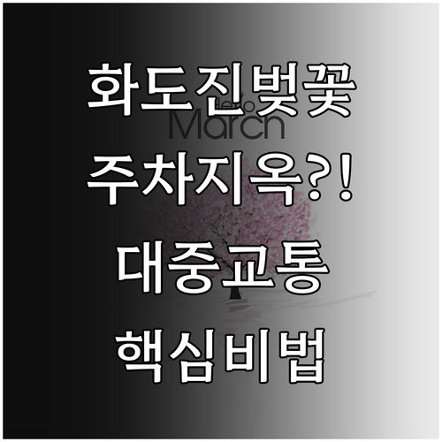인천 동구 화도진공원 벚꽃 축제 주차..