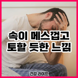 속이 메스껍고 토할 듯한 느낌