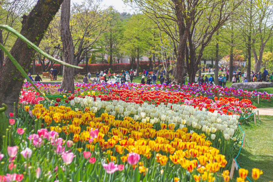 순천만 국가정원 입장료