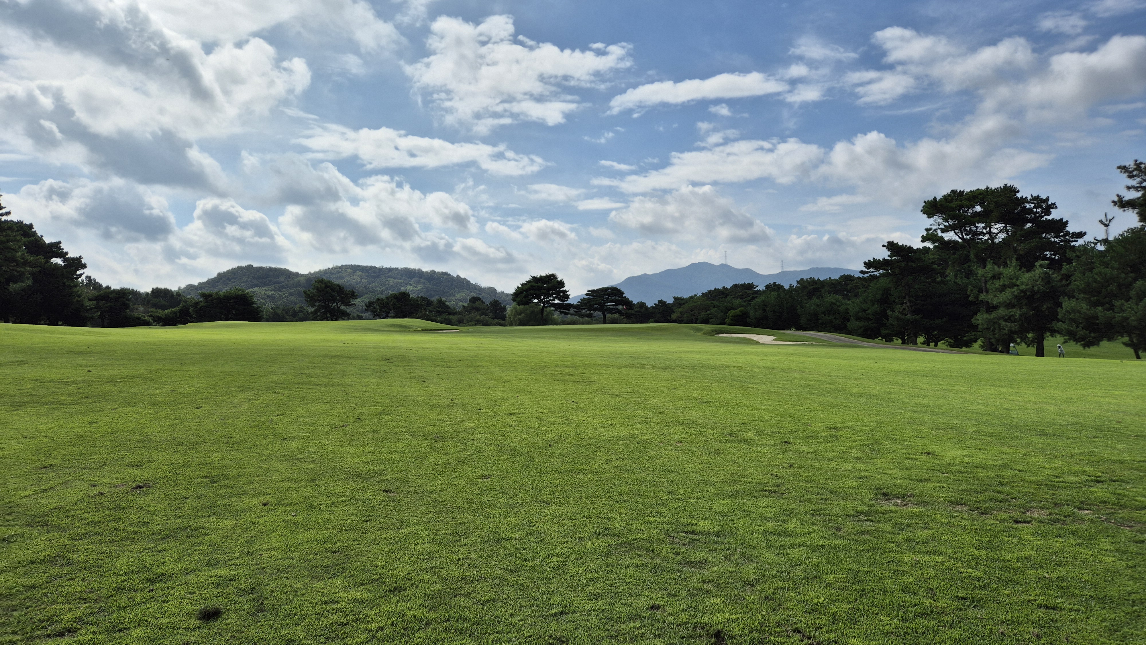도고cc 코스 사진 및 공략 정보