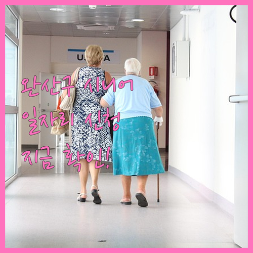 전주 완산구 시니어클럽 일자리 신청 ..