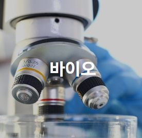 삼성전자 주가