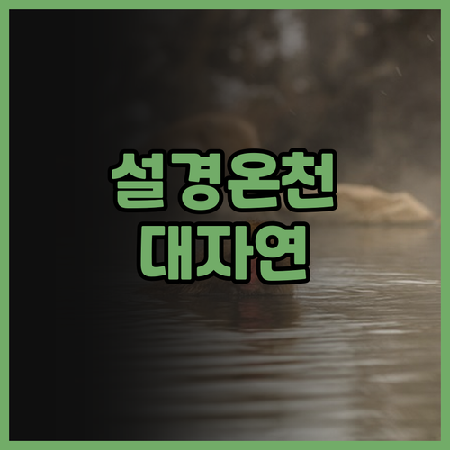 고카산소 추천! 자연 속 노천온천과 ..