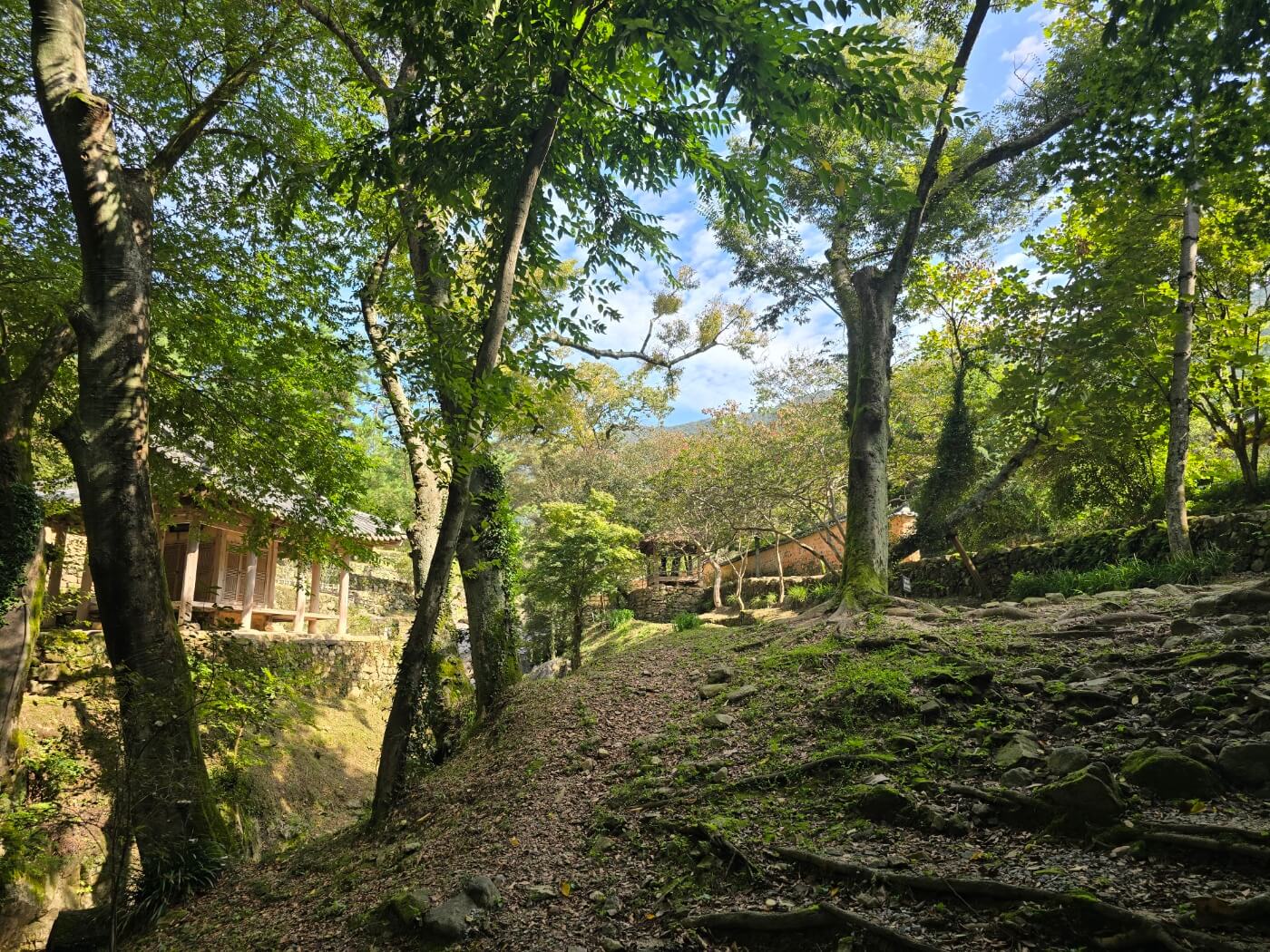 소쇄원 누각과 나무