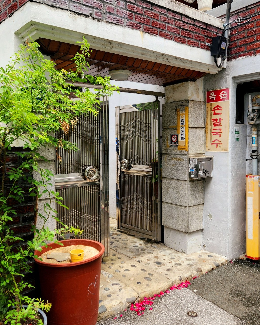 대구 콩국수 맛집 생생정보 옥순 할매의 콩국수
