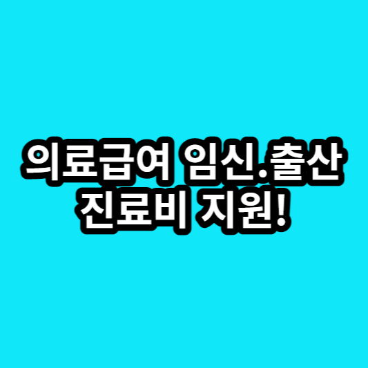 의료 급여 임신, 출산 진료비 지원(지원 대상, 신청 방법)