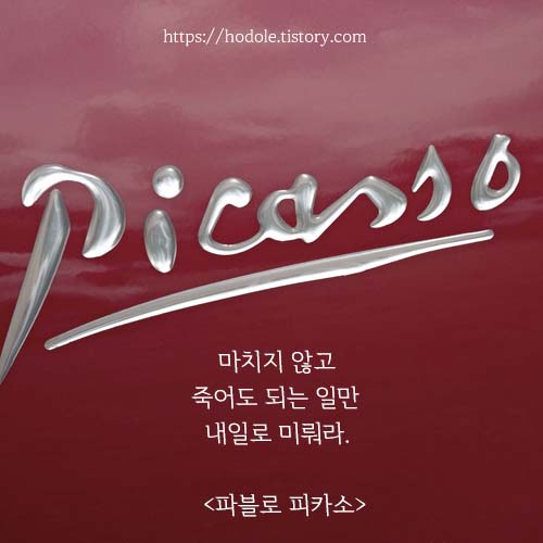 피카소-글귀