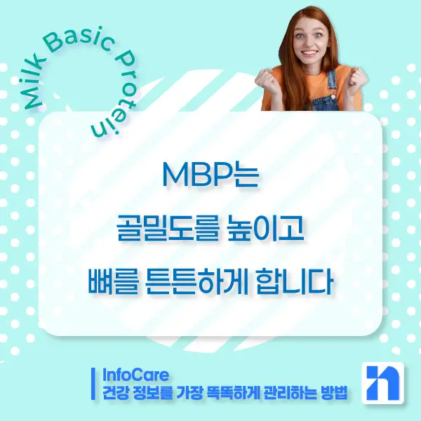 단백질 MBP 효능, 복용법, 주의사항