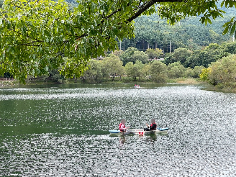 경기도 파주 마장호수출렁다리 소개