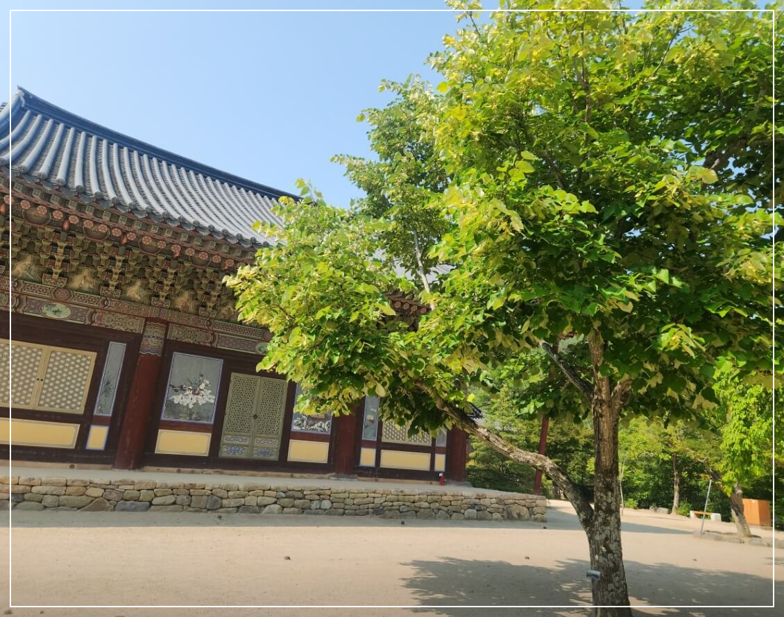 청도 가볼만한곳 베스트10 운문사