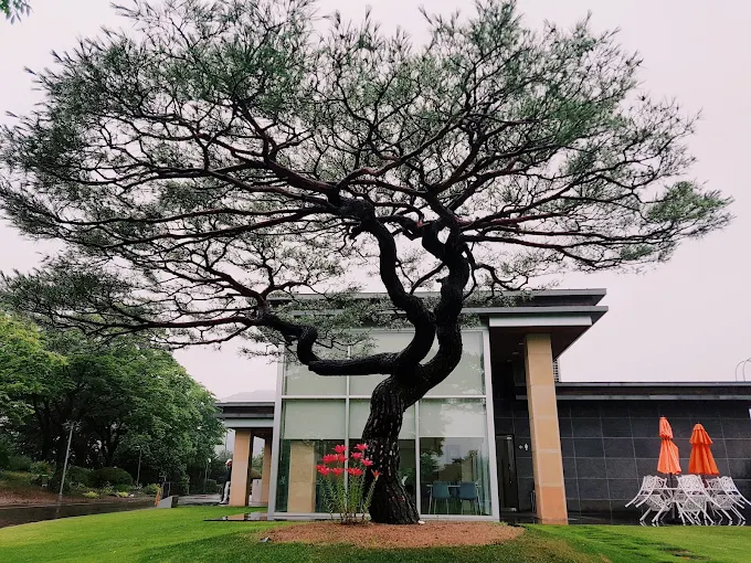 곤지암 중부 컨트리클럽 (중부CC) 소개 및 예약방법