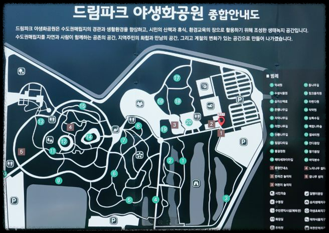 2024 드림파크 국화축제: 인천의 가을 대표 꽃 축제