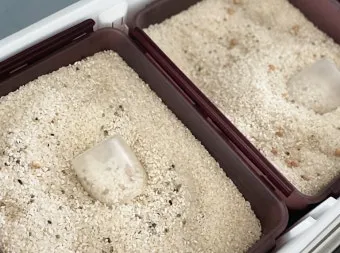 쌀 보관 김치냉장고 벌레 페트병 건식 보관 요령_24