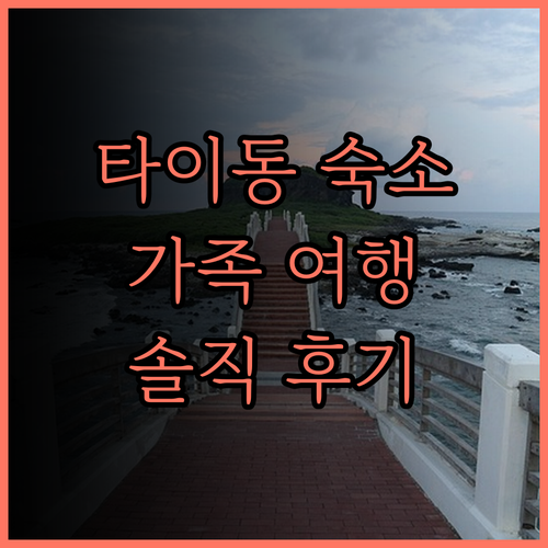 타이동 Master Bear Reso