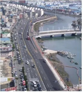 마산 해안도로 5월의 꽃 다정큼나무 산딸나무 해당화_9