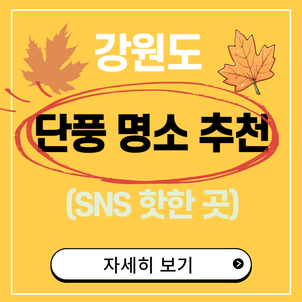 최근 핫한 강원도 단풍 명소 및 절정 시기