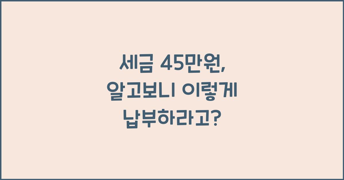 세금 45만원