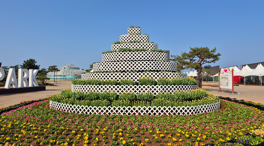 2025 태안 세계 튤립 꽃 박람회