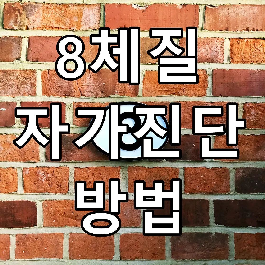 8체질 자가진단 방법 문구가 그려진 이미지