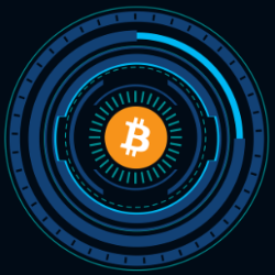 역대 미국 대선 발표 비트코인 영향 2024 예상 반응