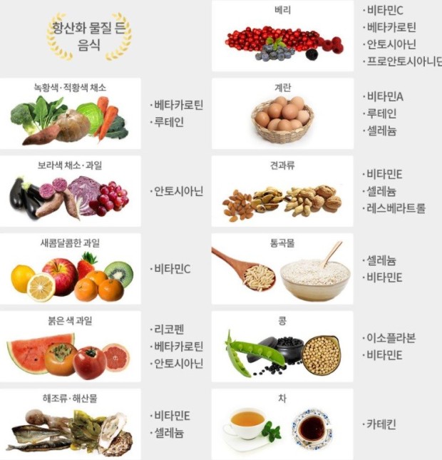 항산화 식품 면역력 강화