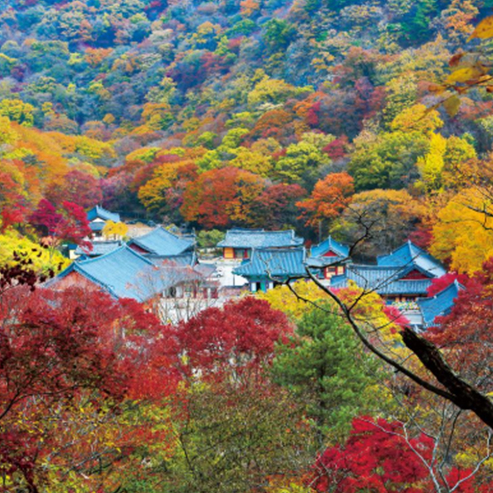 내장산