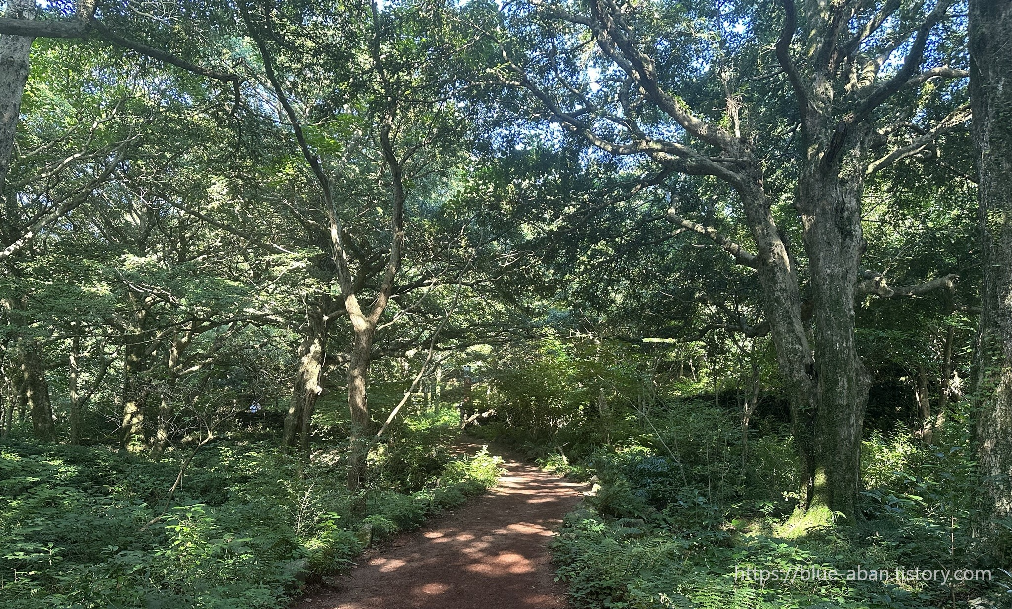 산책로