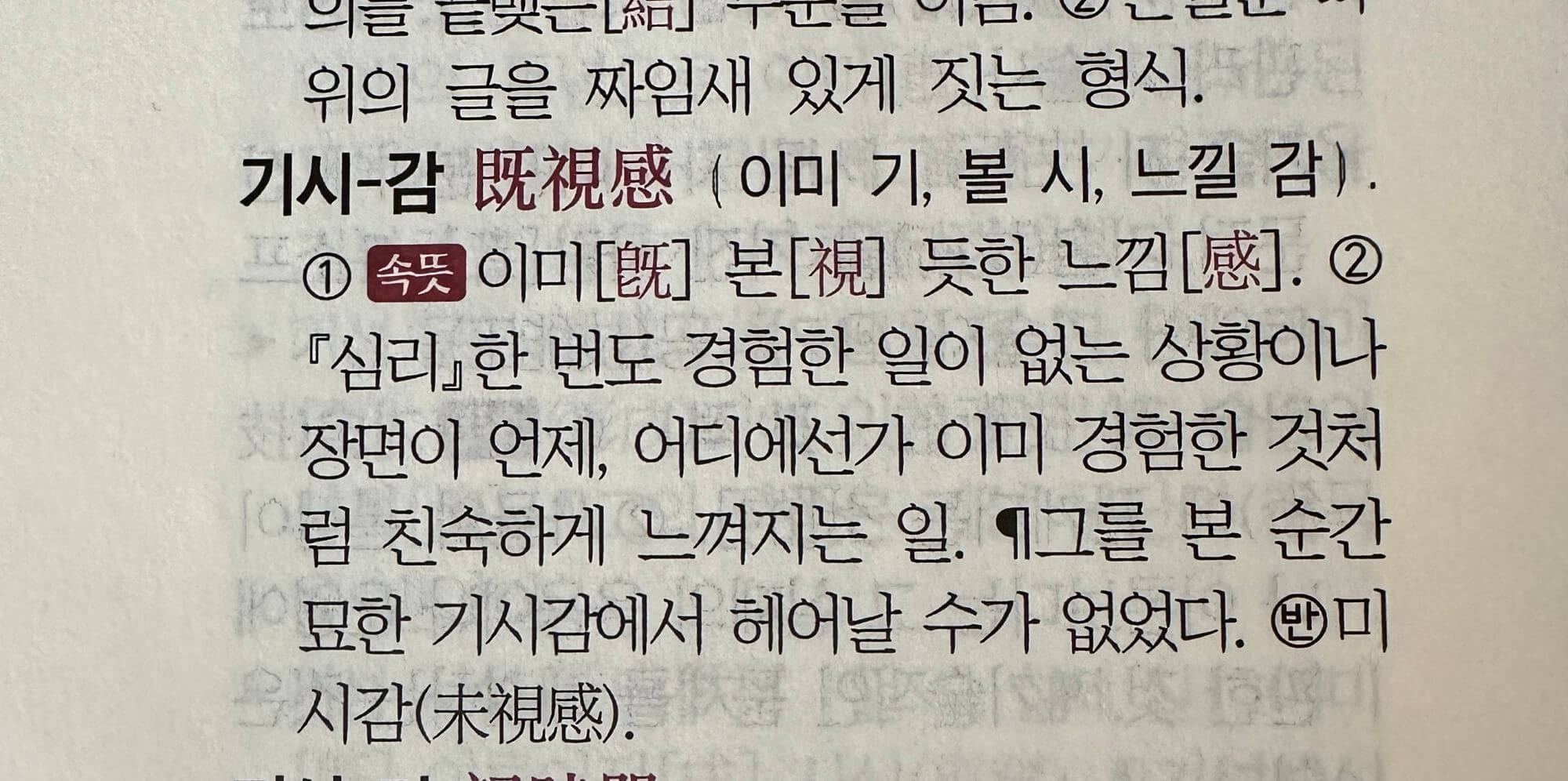 우리말-한자어-속뜻사전에-나와있는-기시감-뜻