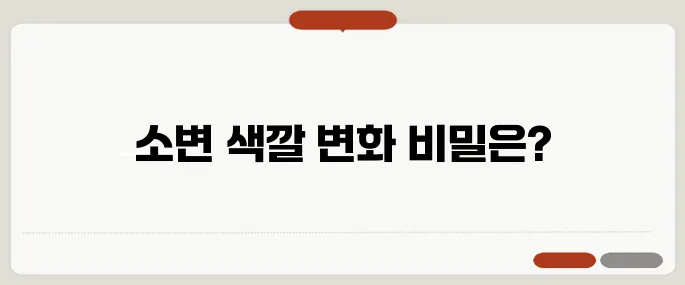소변 색깔이 노란색 진한 색이면 수분 부족 의심