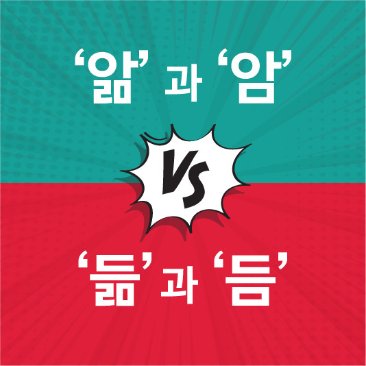 음슴체 뜻