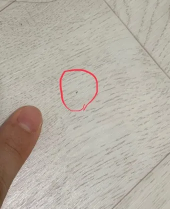 집안 벌레 퇴치법_18