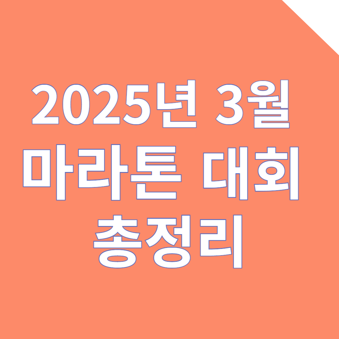2025년 3월 마라톤 대회 총정리