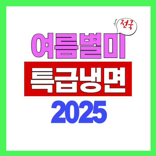 여름 별미 냉면육수 만들기 비법 (재료, 레시피, 꿀팁) 2025