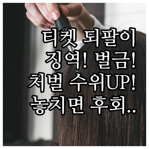 웃돈 받고 티켓 되팔면 불법 범죄 징..