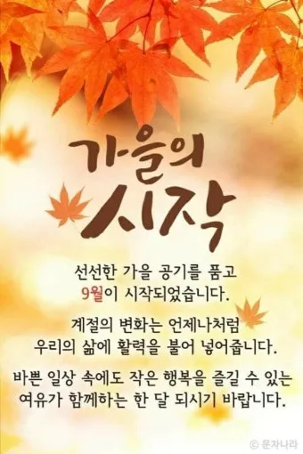 가을 인사말 문구 모음 정리_15