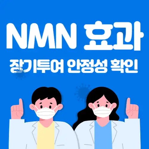nmn효과-안정성확인-썸네일