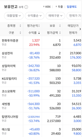 국내 주식 계좌 마이너스 수익률 인증 및 평가손익 현황, 삼성전자 및 2차전지 테마주 손실 기록 스크린샷