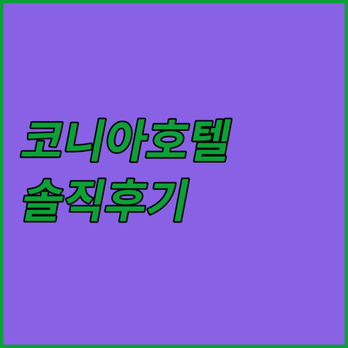 코니아 호텔 추천 라마다 플라자 바이..