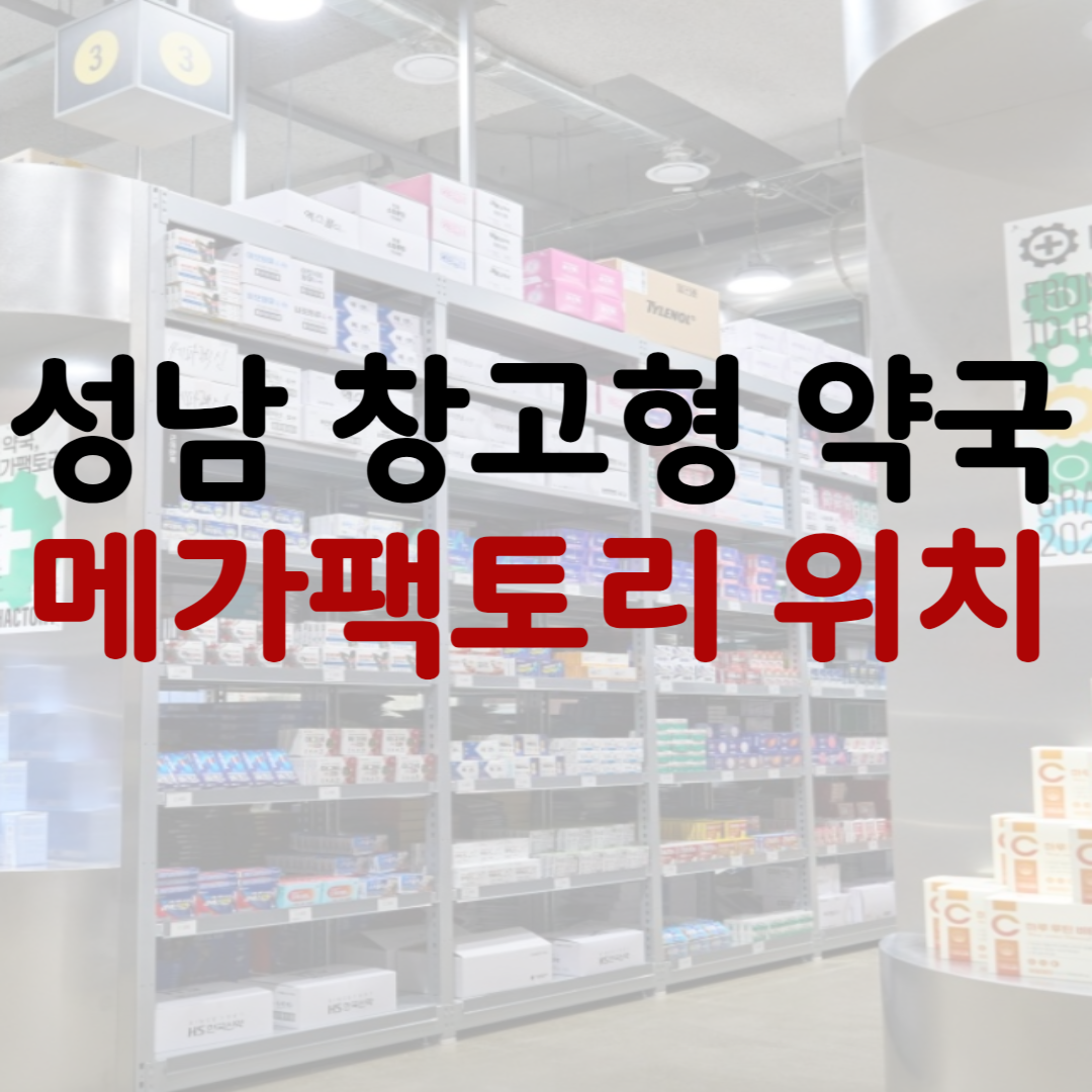 성남 창고형 약국 위치
