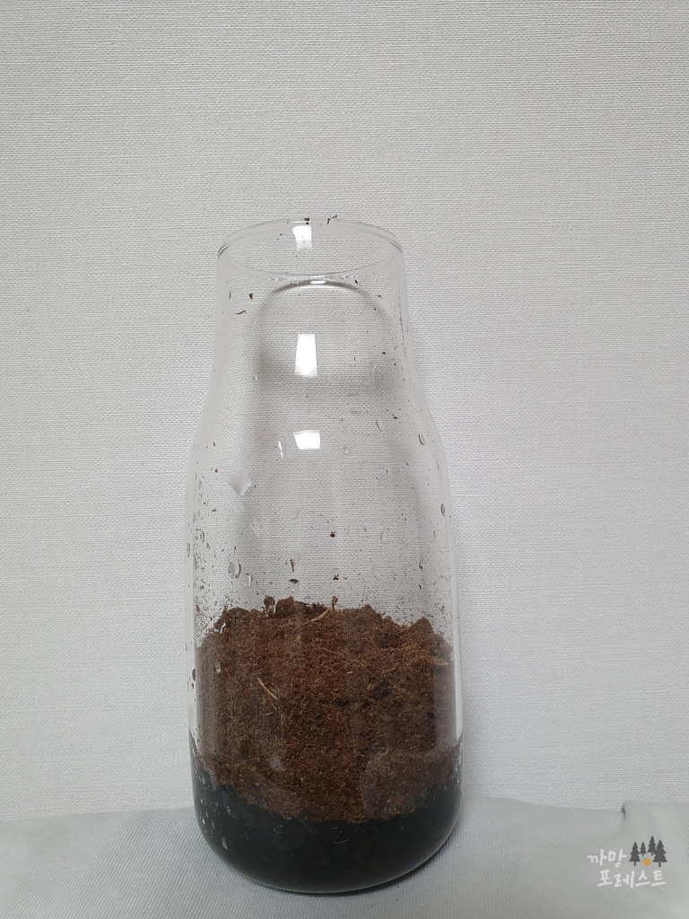 테라리움 만드는 방법 2