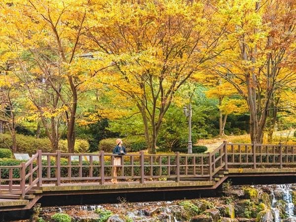 삼척 가볼만한곳 베스트10