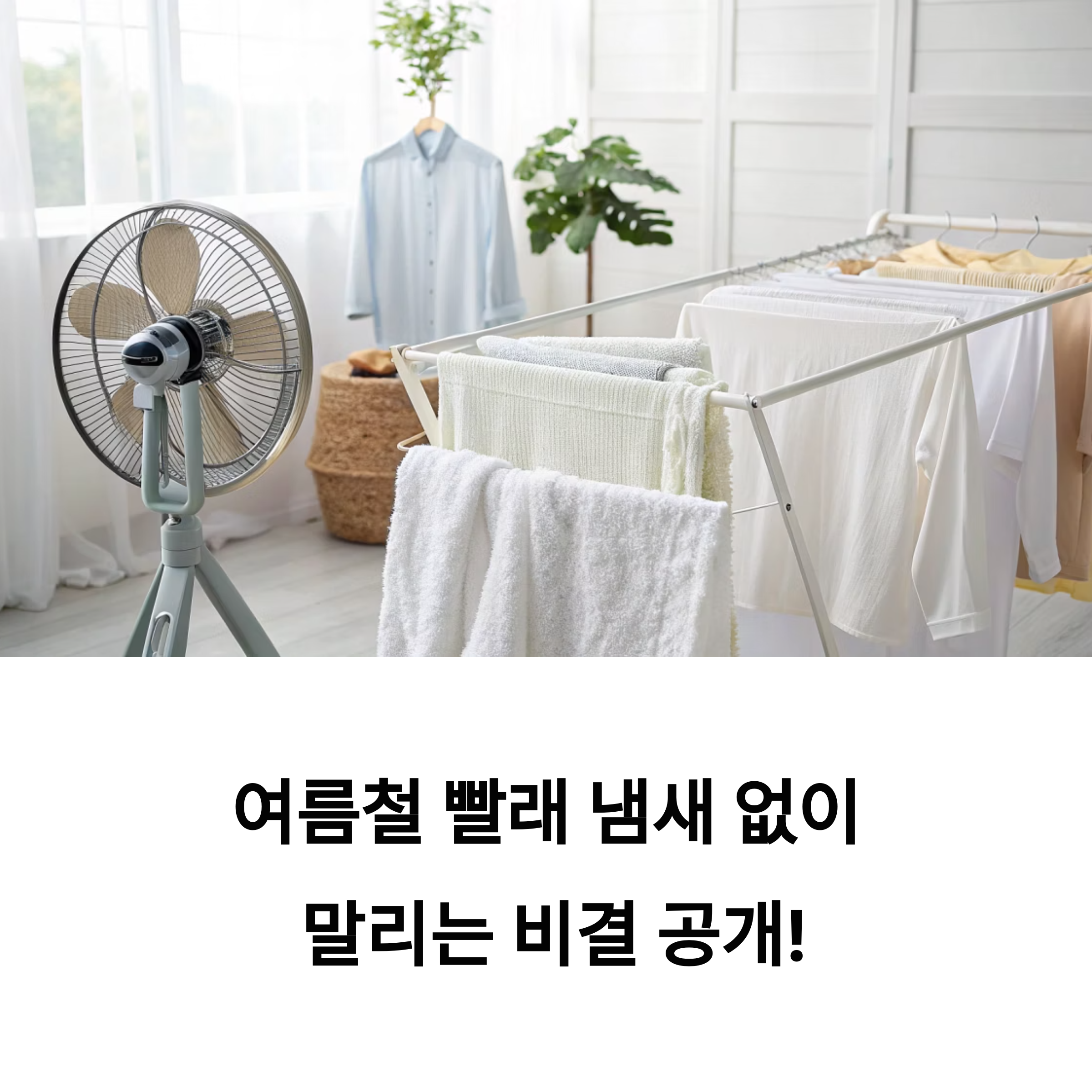 여름철 빨래 냄새 없이 말리는 비결 공개