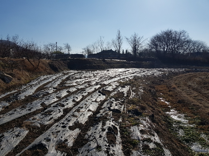 논산지원2021타경2666 본건 기호(3)토지 전경 : 북서측에서 촬영