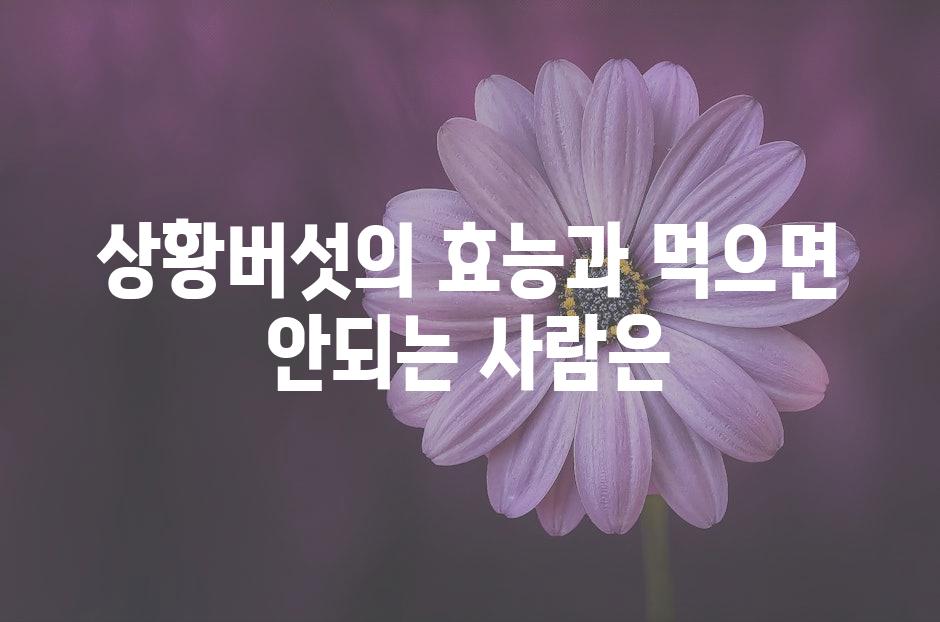 샘플 (50)